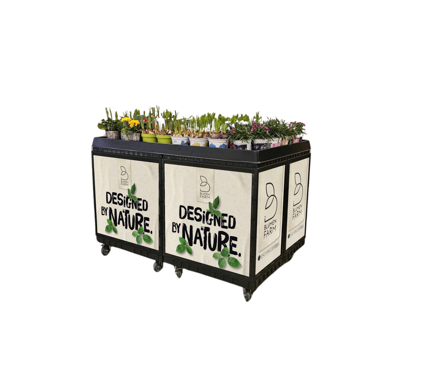 Flower Island 120x80 cm Complete set of 4 incl. marketing “Flower Island EDEKA” on casters