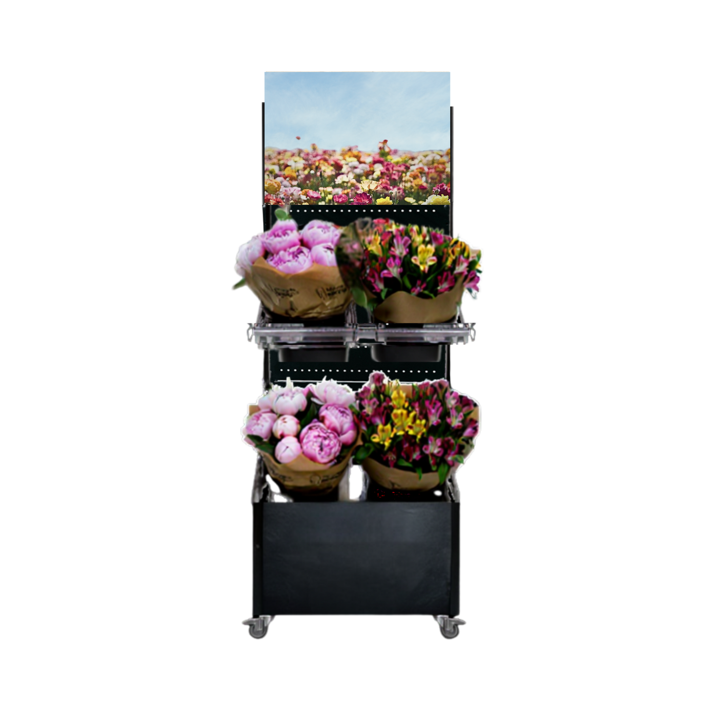 Mobile sales stand Concept Cut flowers (for low gondola heads)