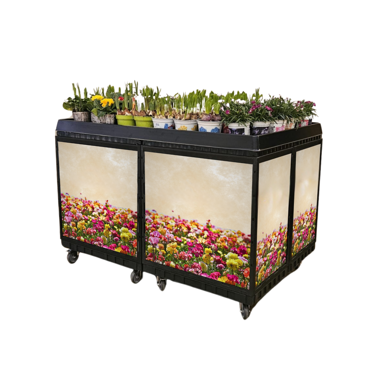 Flower Island 120x80 cm Complete Set of 4 incl. Marketing  on Casters
