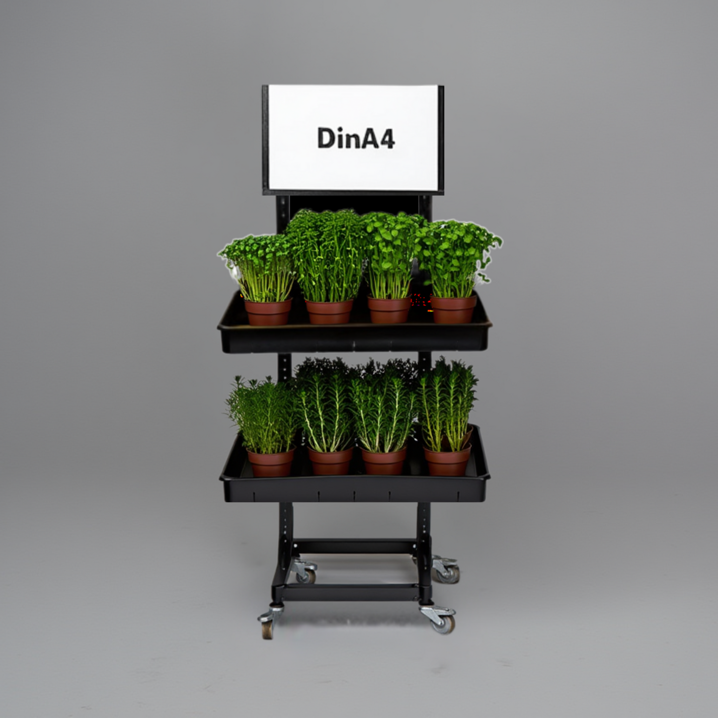 Mobile metal sales stand, variant 2, herbs, potted plants