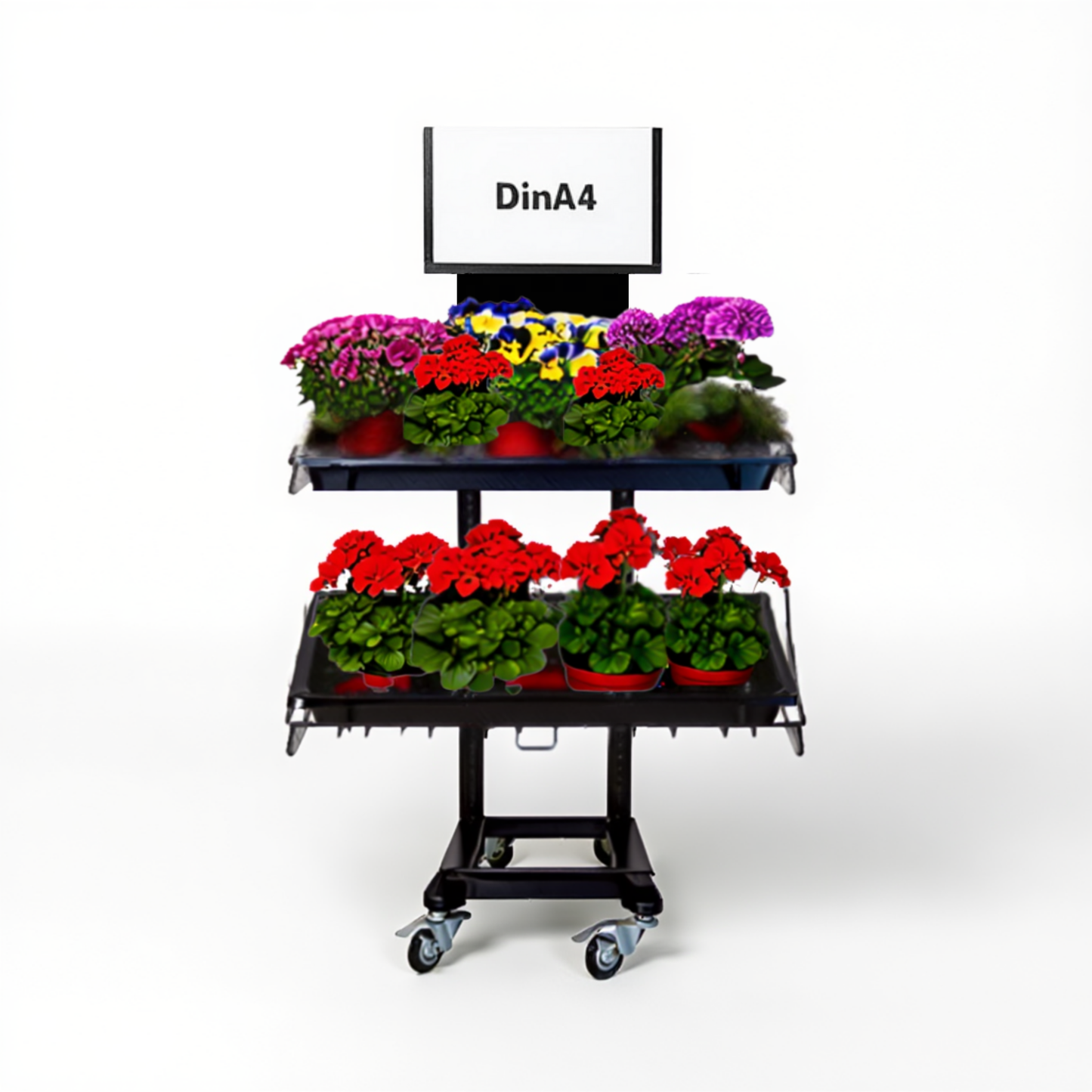 Mobiler Metall Verkaufsständer Edeka Variant 2er, Topfpflanzen