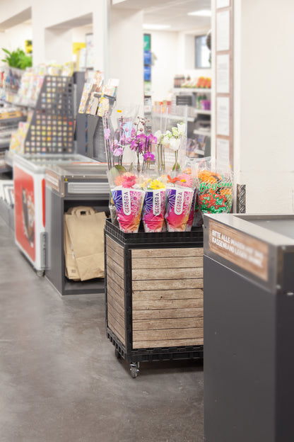 Smart-Display schwarz 75 cm ohne Logo/Druck mit Kufen