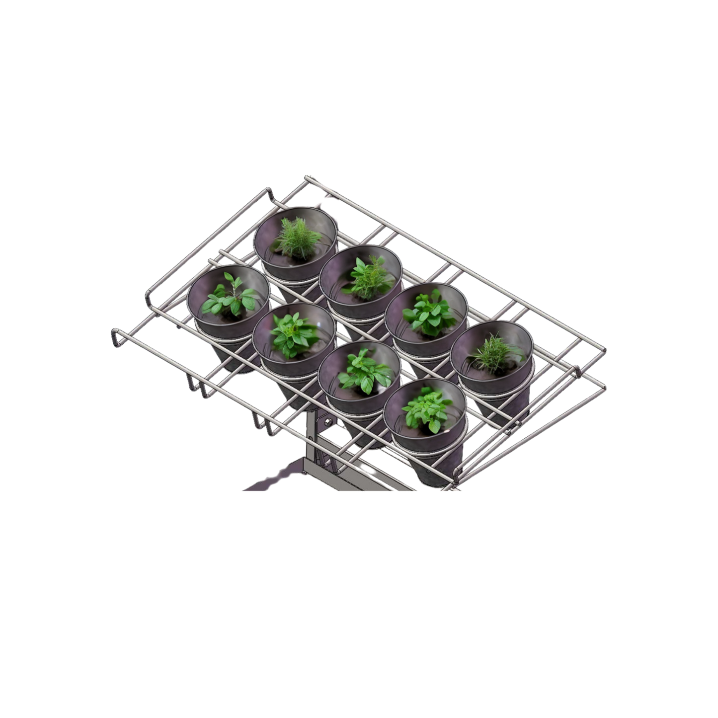 Expansion herbs - KIT for loose herbs