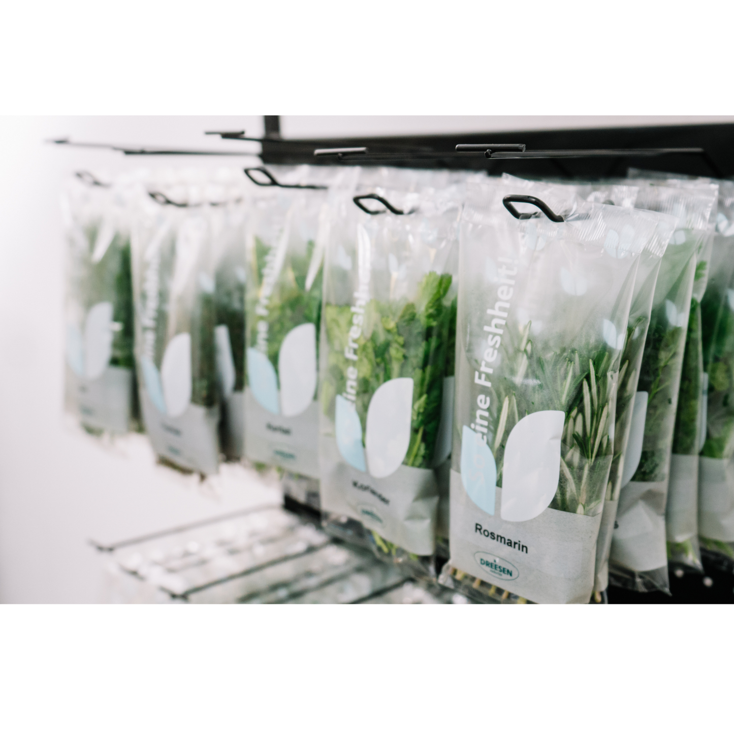 Mobile sales stand Concept, cut and potted herbs
