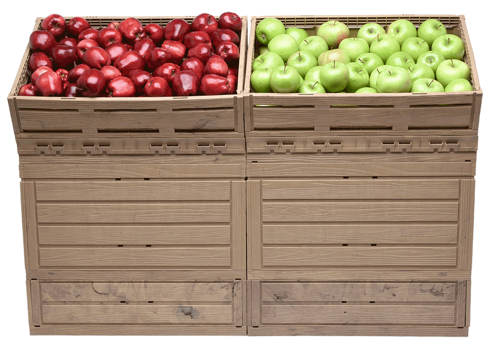 Display in Holzoptik 1er-Block